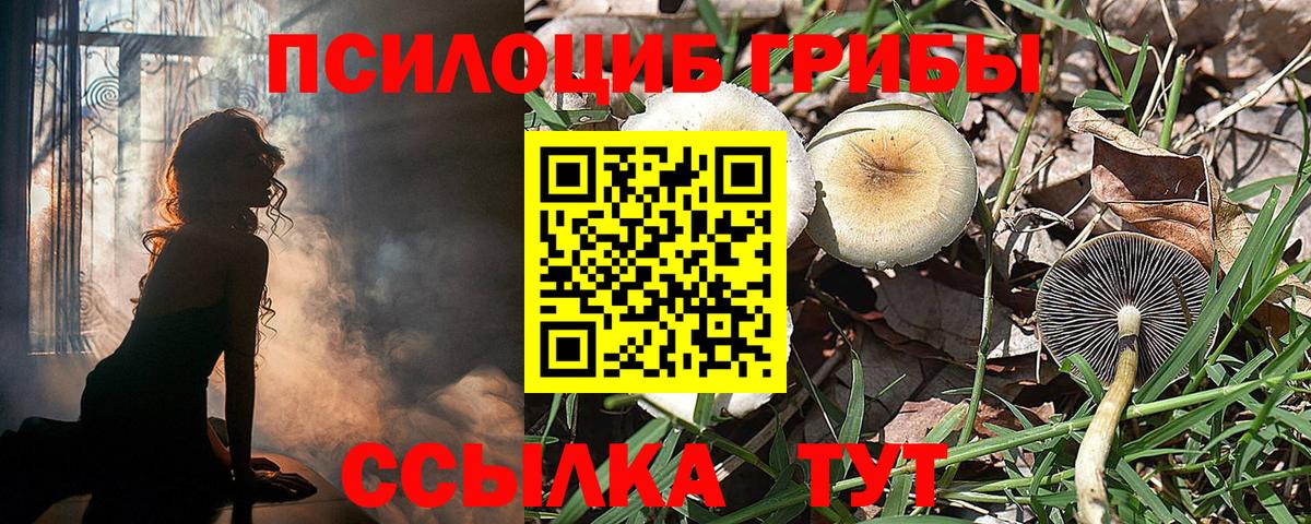 Псилоцибиновые грибы Psilocybe  Вход с VPN  цены наркотик  Коломна 